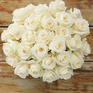 💕🤗🌸👏😂🏖Meet your Posher, Marie @blushfinds!💕